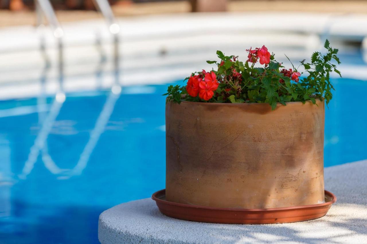 Casa Duende En Villa De Nijar Con Piscina Chambre photo